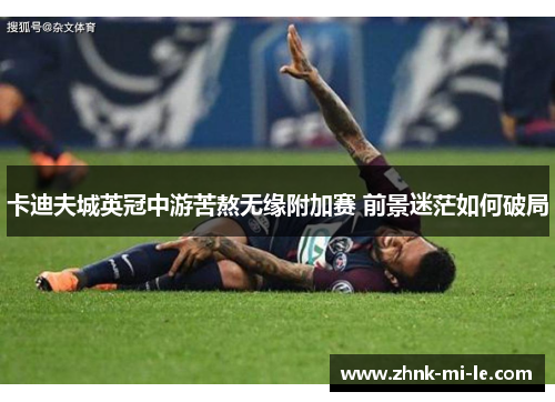 卡迪夫城英冠中游苦熬无缘附加赛 前景迷茫如何破局