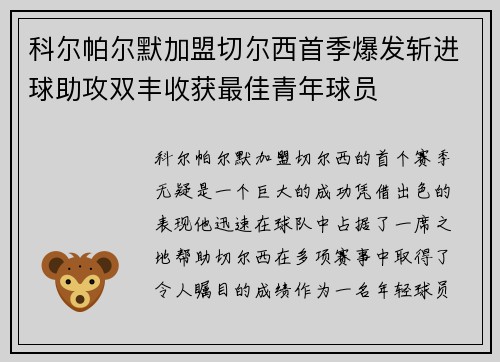 科尔帕尔默加盟切尔西首季爆发斩进球助攻双丰收获最佳青年球员